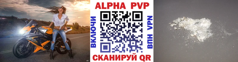 A PVP СК КРИС  Великий Новгород 