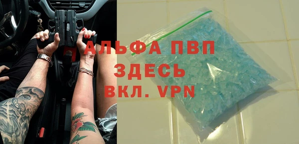 крисы Абаза