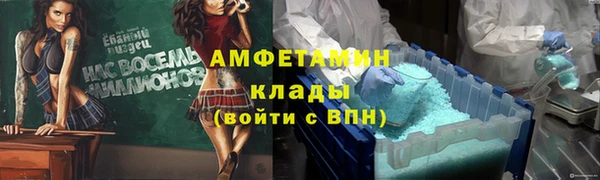 крисы Абаза