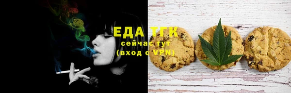 крисы Абаза