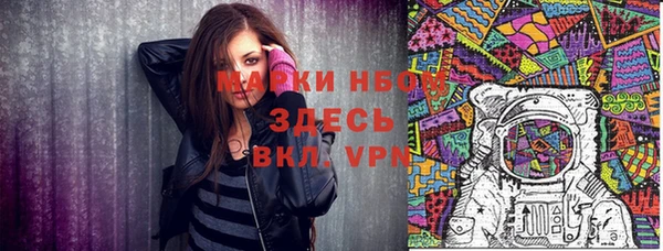 крисы Абаза