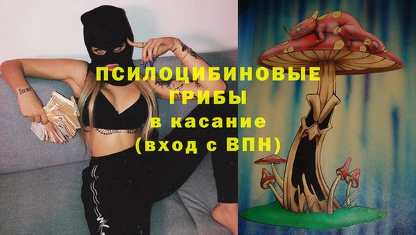 крисы Абаза