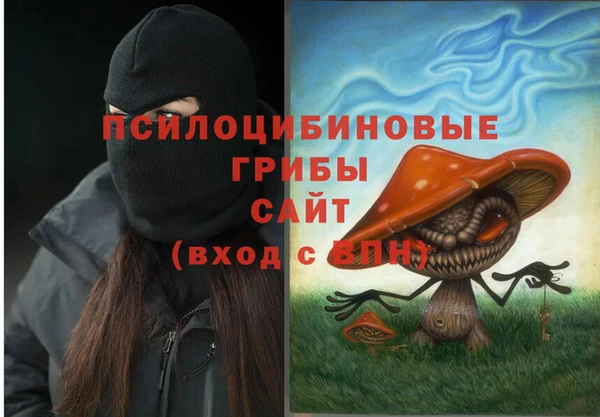 крисы Абаза