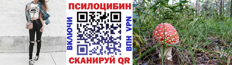сайты даркнета наркотические препараты Великий Новгород ОМГ ОМГ онион Галлюциногенные грибы GOLDEN TEACHER где купить наркоту